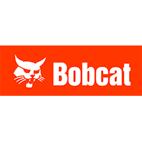 bobcat